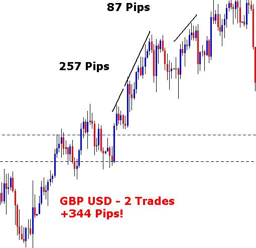 Forex Pips